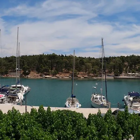 Seamore Galaxídhion