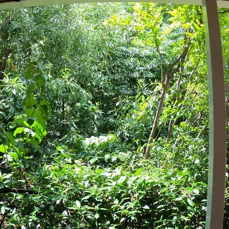 Bed & Breakfast Seamore Galaxídhion